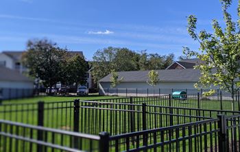 Dog park